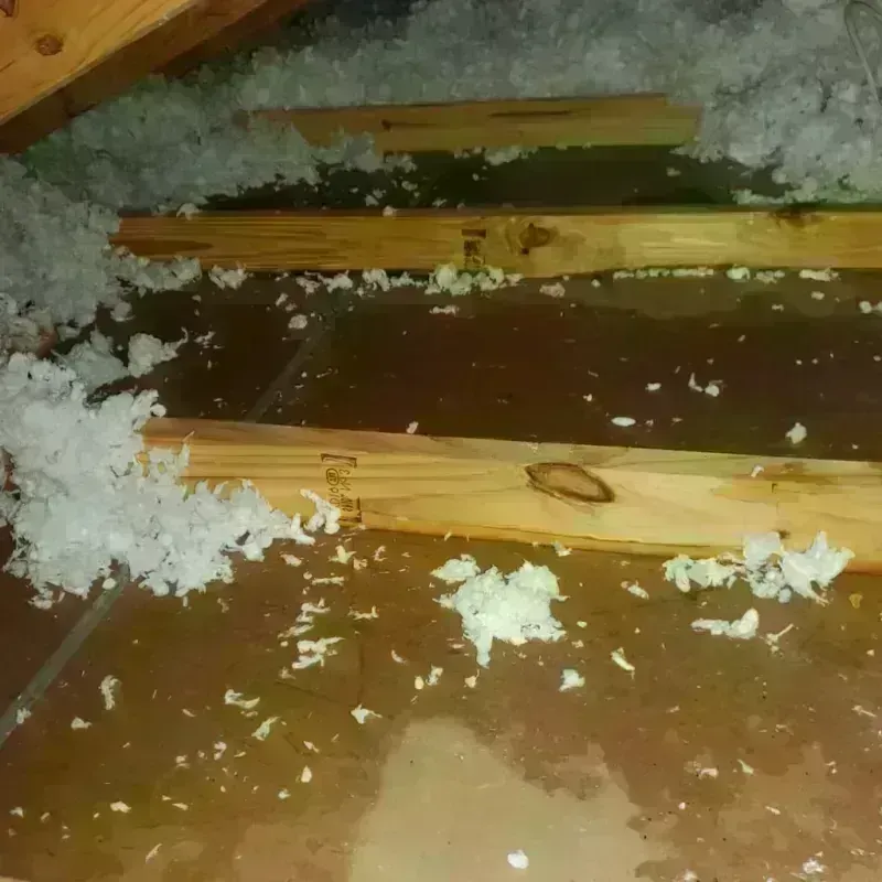 Attic Water Damage in West Plains, MO