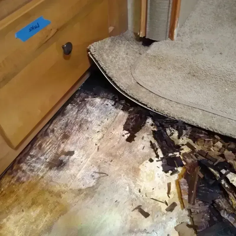 Wood Floor Water Damage in West Plains, MO